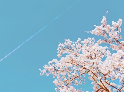 八个字的伤感网名:彼岸花开丶陌路成殇