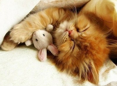�Ƚϼ��ĸ�Ц�������������룬�ұ��������