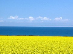 ���Ժÿ���yy�����֣����Ц��������ĩ���˺�