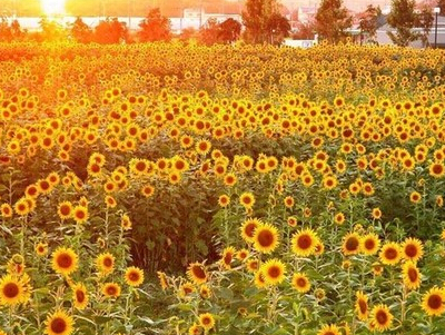 低调奢华有内涵的网名1