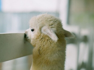很坏的网名设计,坏坏的男生网名1