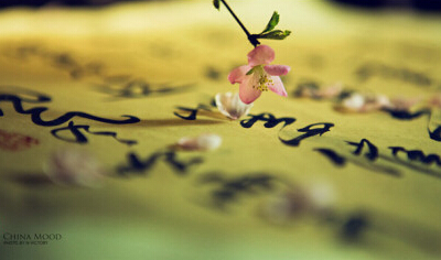 唯美古风四字网名 唯美古风四字网名