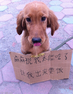五个字可爱的网名 五个字可爱的网名