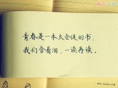 好听的五个字网名,好听的五字游戏名字 好听的五个字网名,好听的五字游戏名字