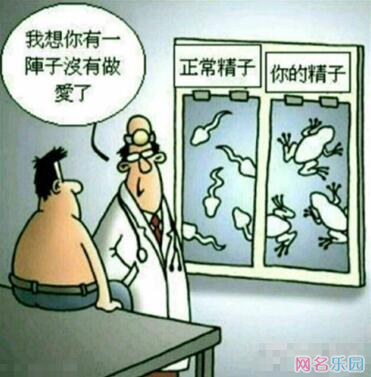 ���ָ�Ц�ǳƣ����ָ�Ц���ִ�ȫ