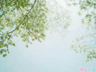 七个字的网名优雅好听 七个字的网名优雅好听