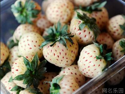 好听的四字名字,好听的四个字名字 好听的四字名字,好听的四个字名字