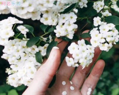 QQ空间英文名字,好听的空间英文名称 QQ空间英文名字,好听的空间英文名称