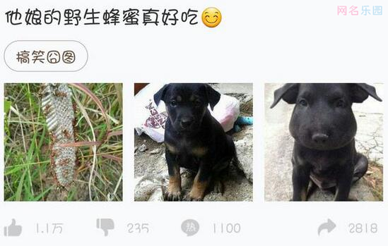 内涵段子搞笑名字,内涵段子霸气名字 内涵段子搞笑名字,内涵段子霸气名字