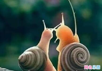 ���Զ����Ա��ǳ� �Ա���Ц�ǳƴ�ȫ
