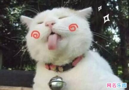 搞笑游戏名字大全 魔兽世界逗比名字