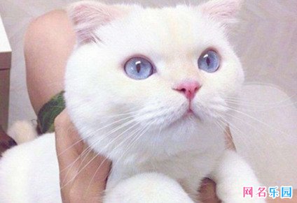������wifi���ִ�ȫ ���������������ƴ�ȫ