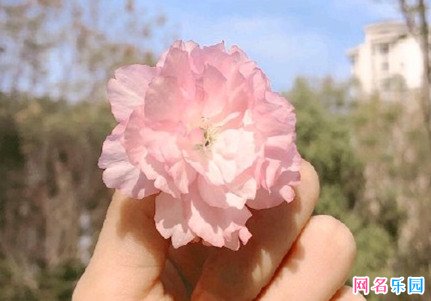 相册的名字唯美简短的 扣扣相册名称简单唯美