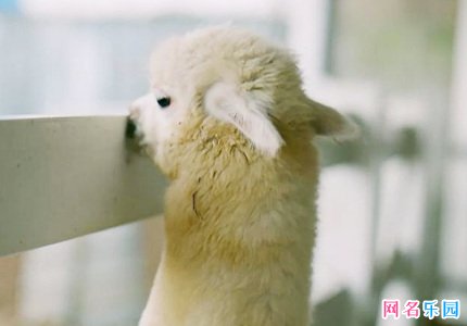 什么网名好听又有内涵 有内涵过目不忘的id