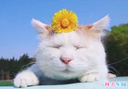 ����Ϸ�ܲ˵����� ��ʾ�Լ��ܿӵ���Ϸ��