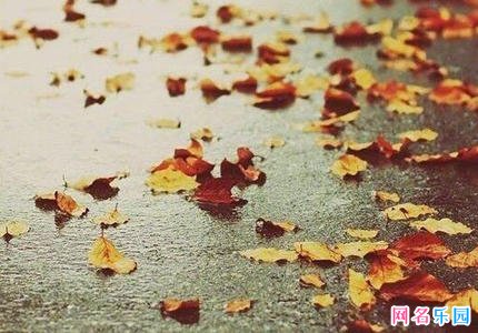 伤感的支付宝昵称大全