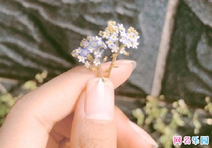 女生好听的备注名 给女生起个好听的备注