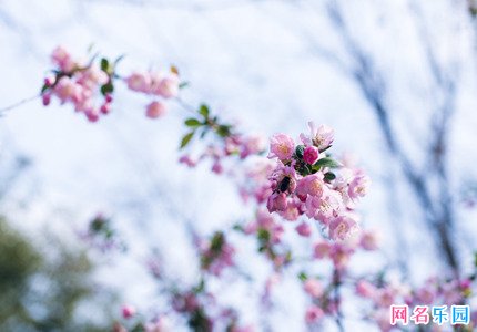 让人惊艳的二字网名