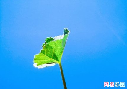 ���ô�ֵ���������