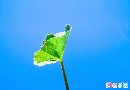 2字简单干净网名
