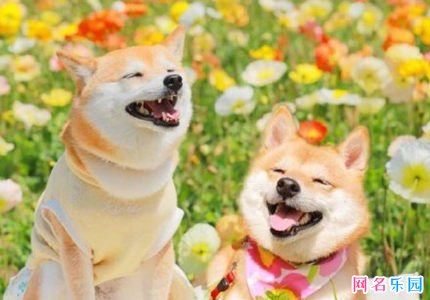 幽默有内涵的微信名字 好听幽默的微信昵称