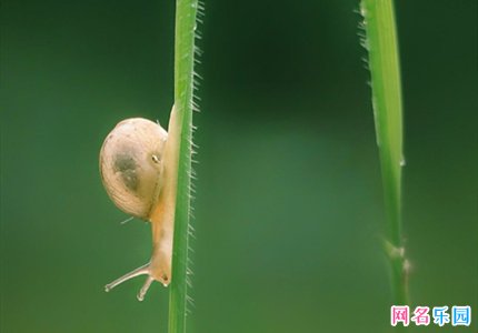 6字个性简单的网名