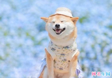 火爆的快手网名 独一无二的快手网名
