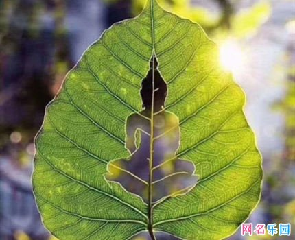 好听又特别的四字网名