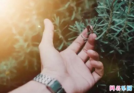 不常见又高冷的网名