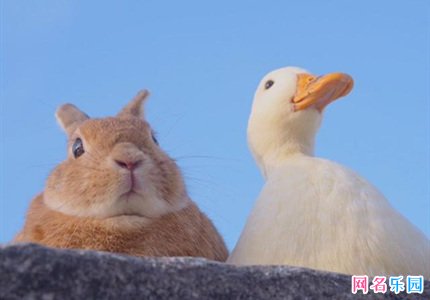 骚气有内涵的六字网名
