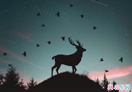 ��һ������������ ����˳���ֺ���������