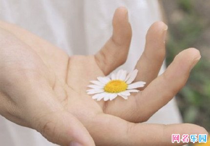 好听的微信号id 好听又好记的微信号英文