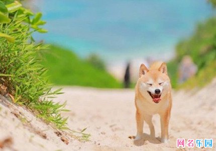 无人注册的网名 不容易被注册的网名