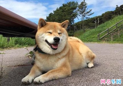 �ĸ��ֺ�����΢���� ΢���ǳ��ĸ����и���