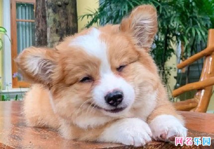 纯文字个性七字网名