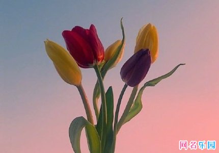 �����ֵ��������� ���ᵽ������������6����