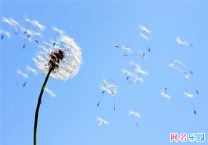 �ĸ��ֺ�����id �������⾳������id