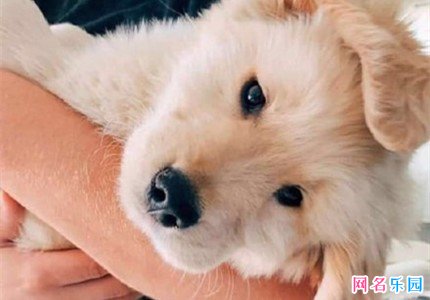 六字骚气id 六字比较沙雕的id