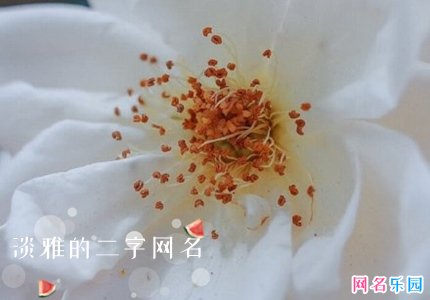 恬静淡雅的二字网名 安静淡雅的网名两个字