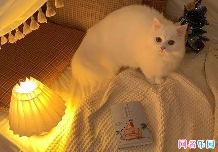 4个字女生温柔网名 好听又温柔的女网名四个字