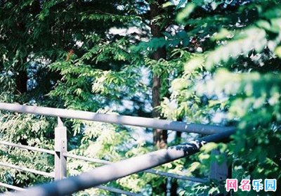 小红书唯美网名 小红书文艺昵称