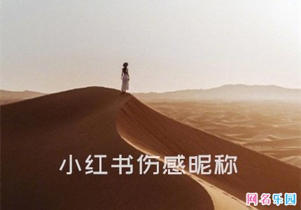 小红书伤感昵称 小红书伤感用户名