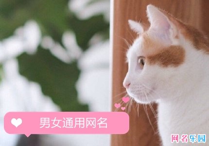 男女通用网名四个字 男女通用四字干净网名
