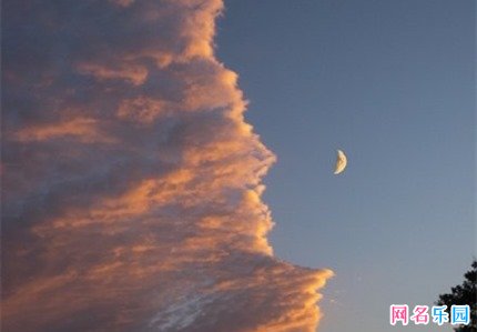 优雅别致的男生网名 诗意文艺的网名男生