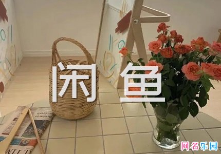 给闲鱼起名字大全 闲鱼网名好听又好记