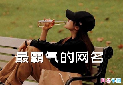 霸气高冷的昵称 最帅最霸气的网名