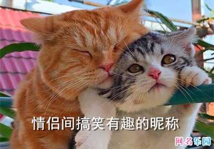 情侣间搞笑有趣的昵称 给恋人的备注昵称有趣