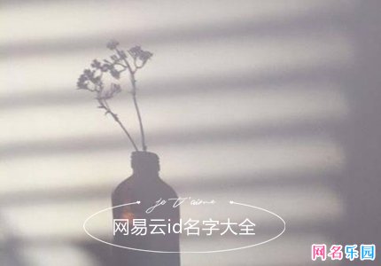 网易云id名字大全 网易云音乐用什么昵称好听
