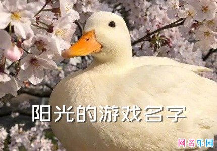 比较阳光的游戏名字 积极阳光的游戏名字