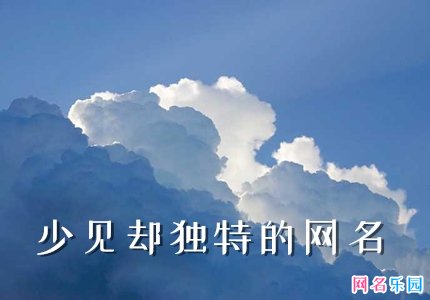 特别稀少的个性网名 少见却独特的网名